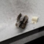 Serrure avant gauche FORD MONDEO 1