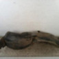 Pare boue avant gauche PEUGEOT 206
