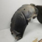 Pare boue avant droit DACIA LODGY