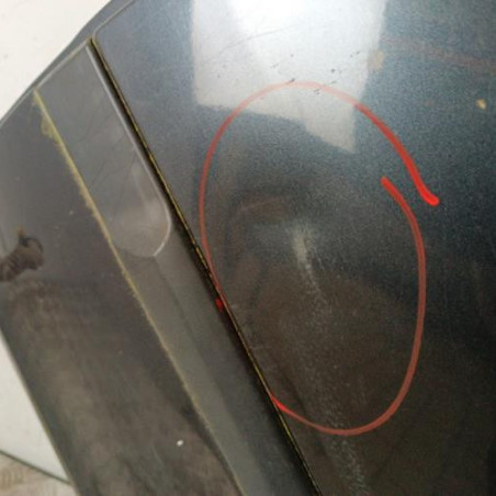 Porte arriere gauche RENAULT CLIO 3
