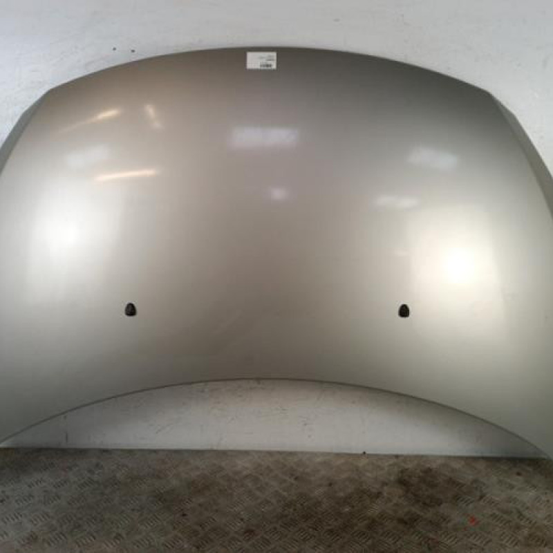 Capot PEUGEOT 307 Capot PEUGEOT 307