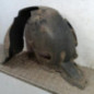 Pare boue avant gauche SEAT TOLEDO 3