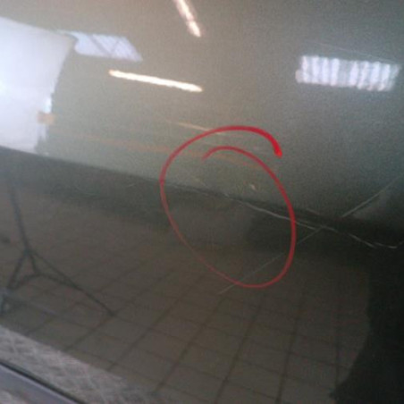 Porte arriere gauche RENAULT MODUS