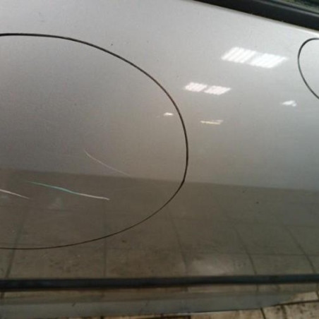 Porte arriere gauche PEUGEOT 407