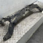Face avant RENAULT CLIO 3
