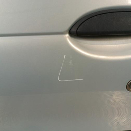 Porte avant gauche RENAULT MEGANE 1