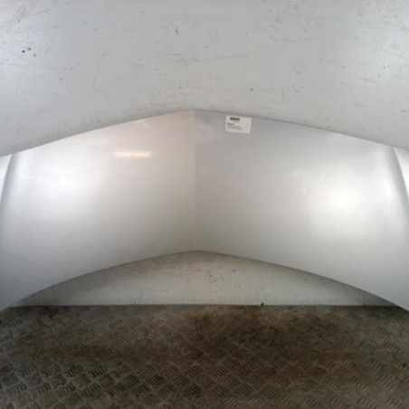 Capot RENAULT GRAND MODUS Photo n°1