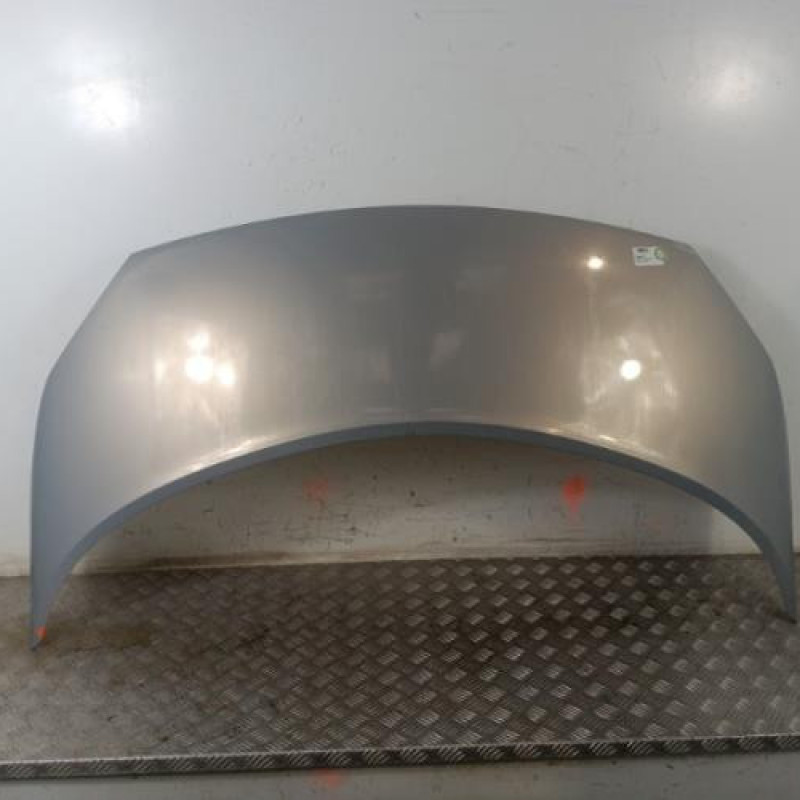 Capot RENAULT SCENIC 2 Capot RENAULT SCENIC 2