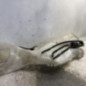 Vase de lave glace RENAULT MEGANE 4