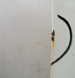 Porte avant droit RENAULT CLIO 1