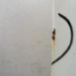 Porte avant droit RENAULT CLIO 1