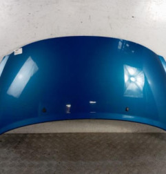 Capot PEUGEOT 207 Photo n°1