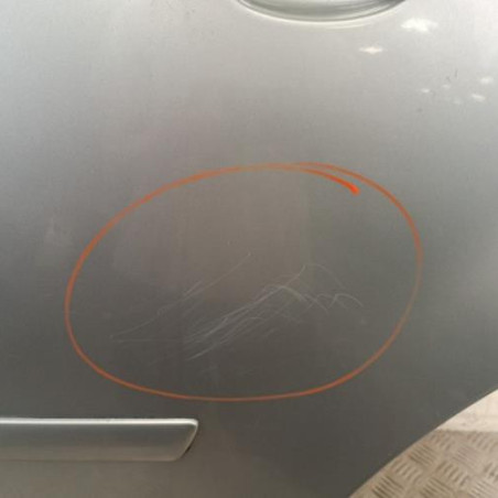 Porte arriere gauche FORD C-MAX 1