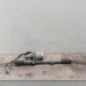 Cremaillere assistee CITROEN C3 3