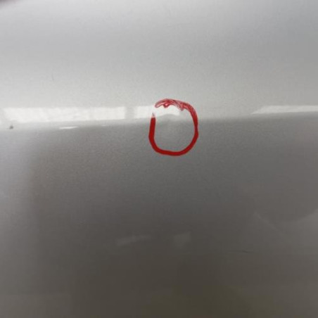 Porte arriere gauche RENAULT LAGUNA 3