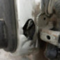 Porte arriere gauche PEUGEOT 206