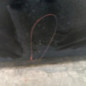 Renfort pare choc avant (traverse) DS DS5