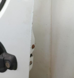 Porte avant gauche FIAT DOBLO 1