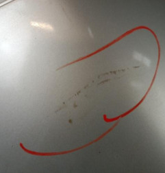 Porte arriere gauche PEUGEOT 206
