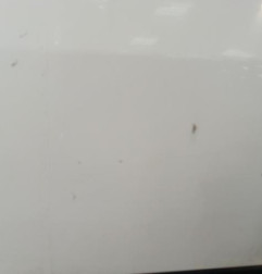 Porte avant gauche FORD FOCUS 1 Photo n°4