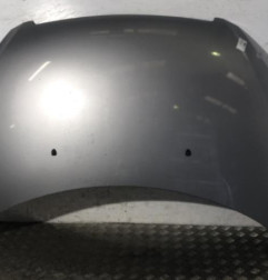 Capot PEUGEOT 307 Photo n°1