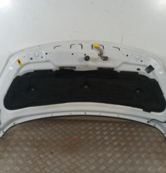 Capot OPEL MERIVA B