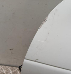 Porte avant gauche RENAULT MEGANE 1 Photo n°4
