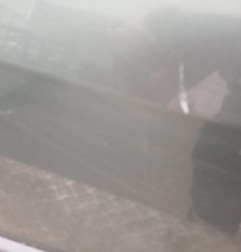 Porte avant gauche RENAULT SCENIC 2 Photo n°5