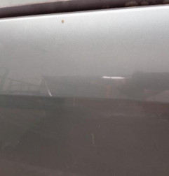 Porte avant gauche RENAULT SCENIC 2 Photo n°6