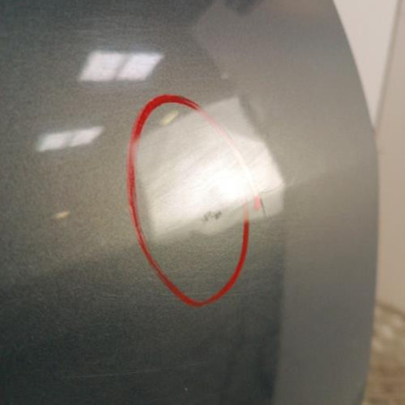 Porte arriere droit RENAULT SCENIC 2