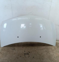 Capot RENAULT CLIO 3 Photo n°1