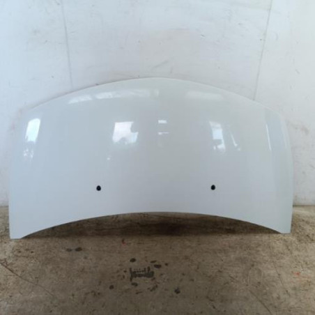 Capot RENAULT CLIO 3 Photo n°1