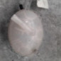 Vase d'expansion OPEL ASTRA K