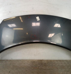 Capot RENAULT GRAND SCENIC 2 Photo n°1