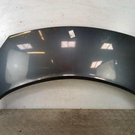 Capot RENAULT GRAND SCENIC 2 Photo n°1