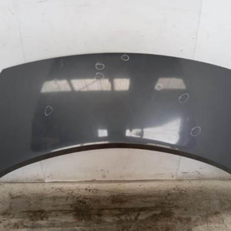 Capot RENAULT GRAND SCENIC 2 Photo n°1
