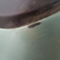 Pare choc arriere RENAULT SCENIC 2