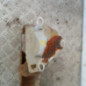 Renfort pare choc avant (traverse) CITROEN C2
