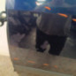 Porte arriere gauche FORD FOCUS 1