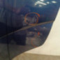 Porte arriere gauche FORD FOCUS 1