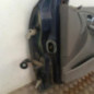 Porte avant droit FORD FOCUS 1