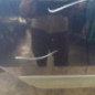 Porte avant gauche FORD FOCUS 1