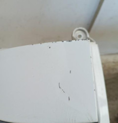 Pare choc arriere CITROEN C4 GRAND PICASSO 1 Photo n°4
