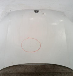 Capot RENAULT KANGOO 1 Photo n°1