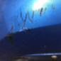 Pare choc avant RENAULT MEGANE 2