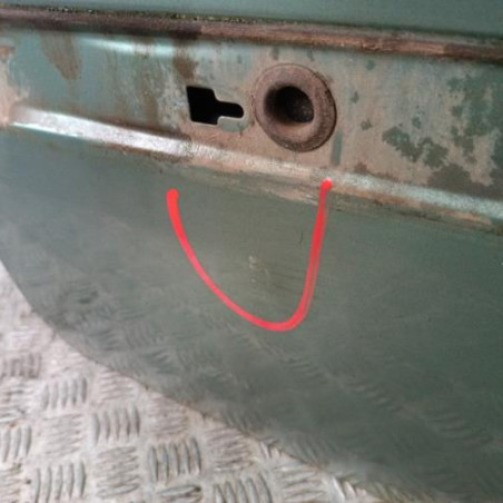 Porte arriere gauche RENAULT SCENIC 2