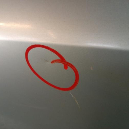 Porte arriere gauche RENAULT LAGUNA 2