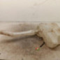 Vase de lave glace RENAULT MASTER 3