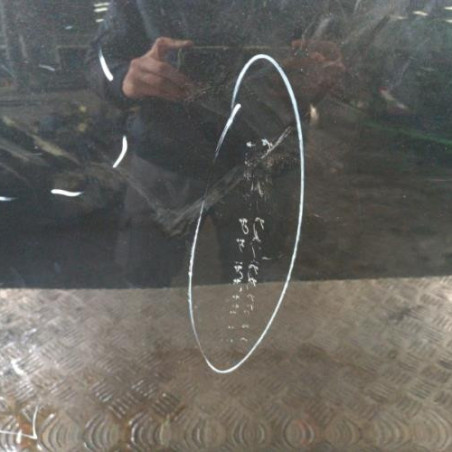 Porte arriere gauche RENAULT MEGANE 3