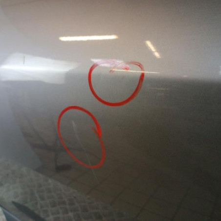 Porte arriere gauche RENAULT MEGANE 3